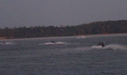 Click to view Sam Rayburn  095.JPG